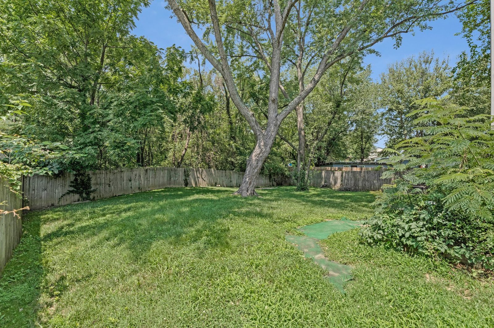 Fenced back yard with lawn and mature shade trees