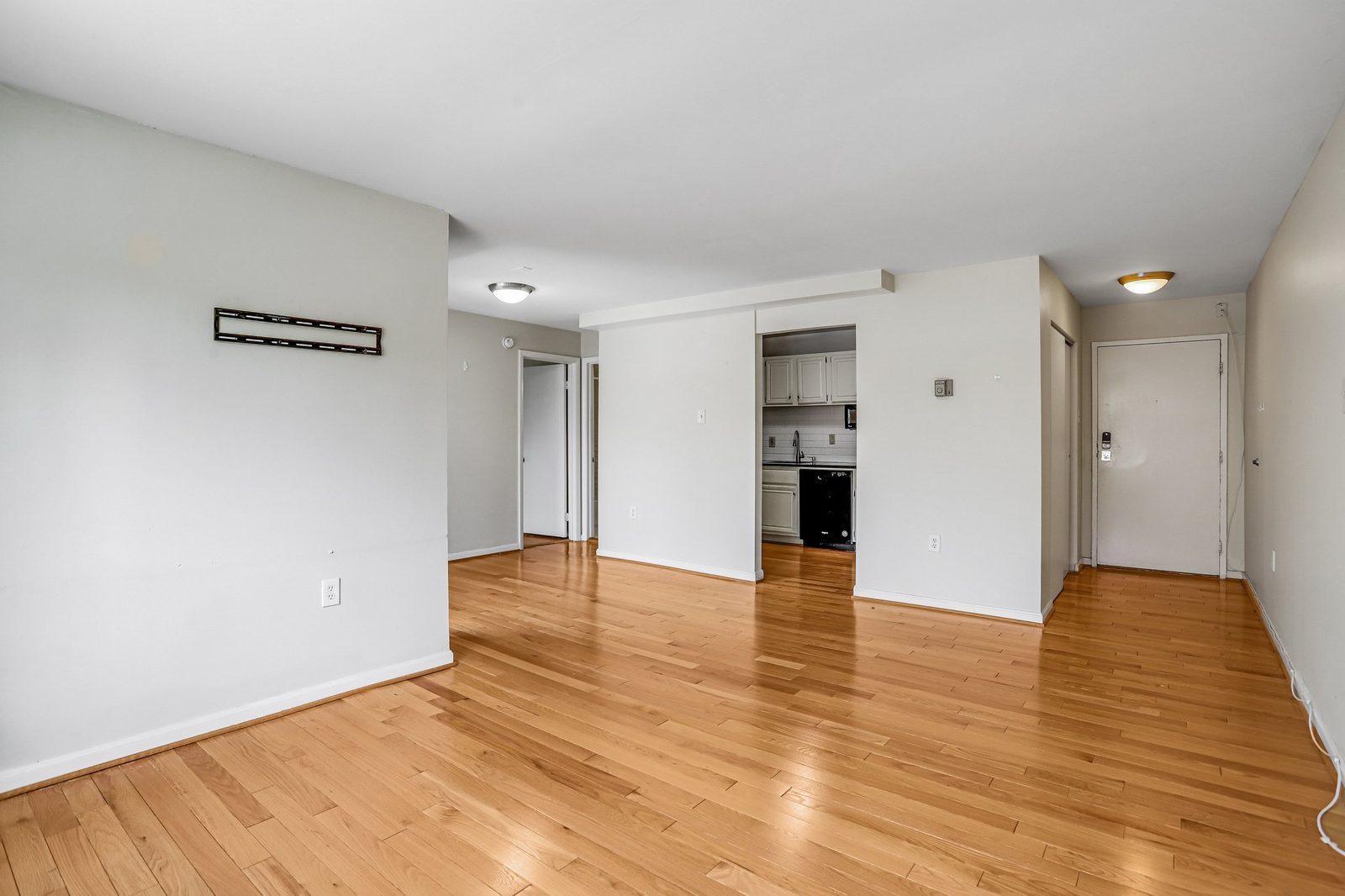 Open living area with hardwood floors, entry door and kitchen pass-through