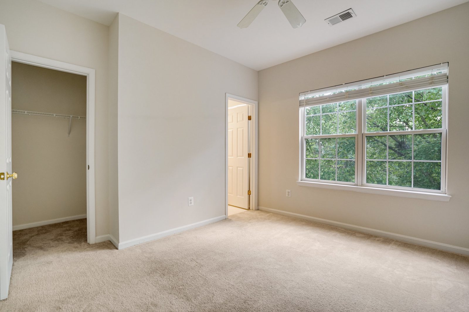 Carpeted room with walk-in closet, wire shelving and wide window