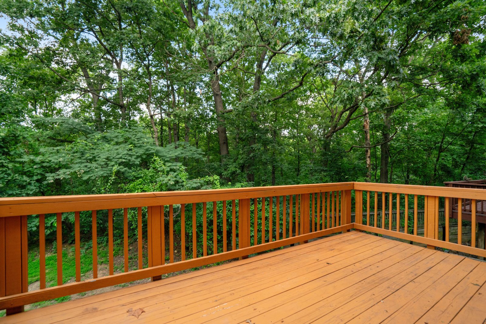 Wood deck with railing overlooking mature trees