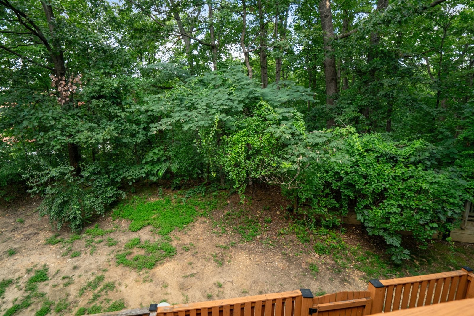 View from wood deck over wooded rear yard