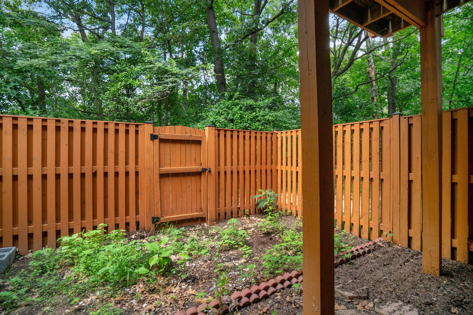 Wood privacy fence and gate enclosing mulched yard beside woods