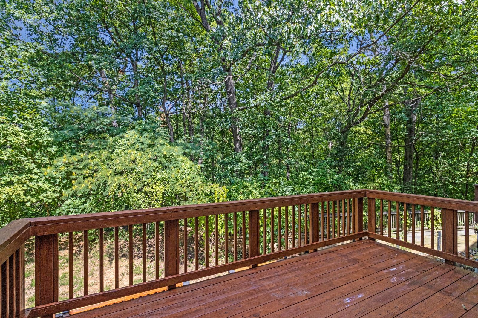 Deck railing overlooking mature trees and a wooded slope